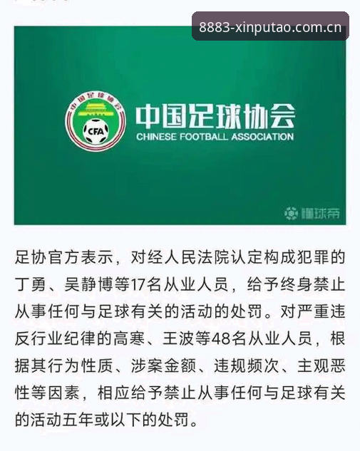 新葡萄游戏平台 中国足协第三批禁足名单深度分析:65人受罚背后的行业生态与治理逻辑